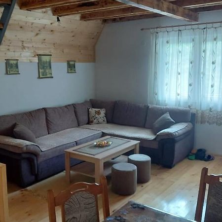 Vila Daniela Zaovine Exteriör bild