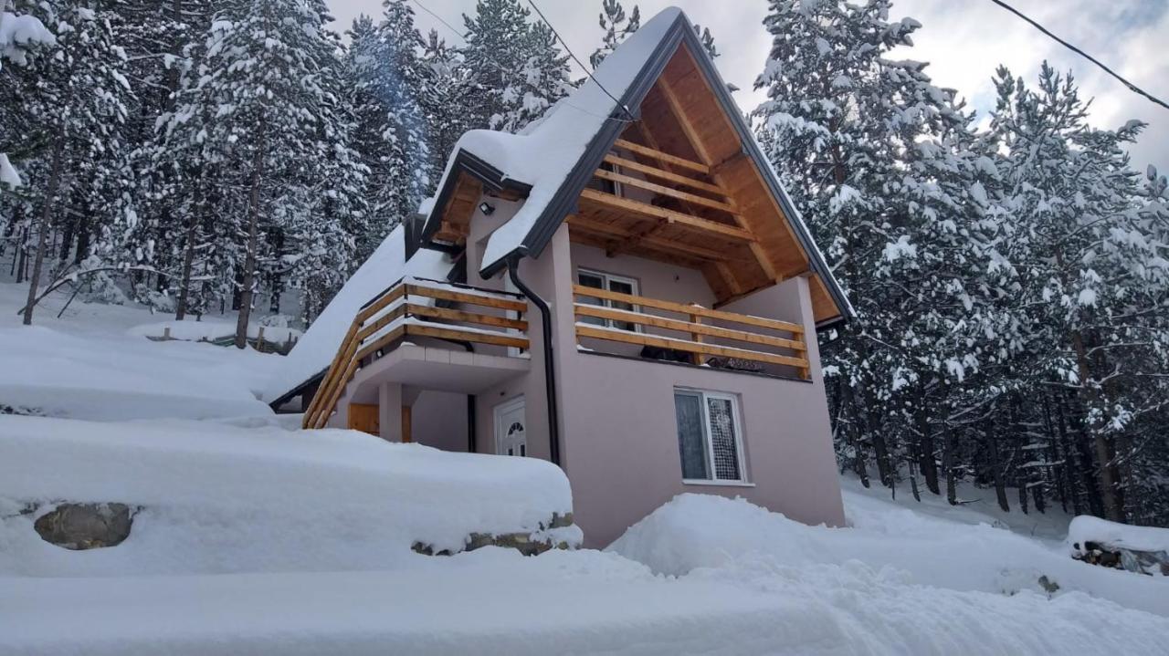 Vila Daniela Zaovine Exteriör bild