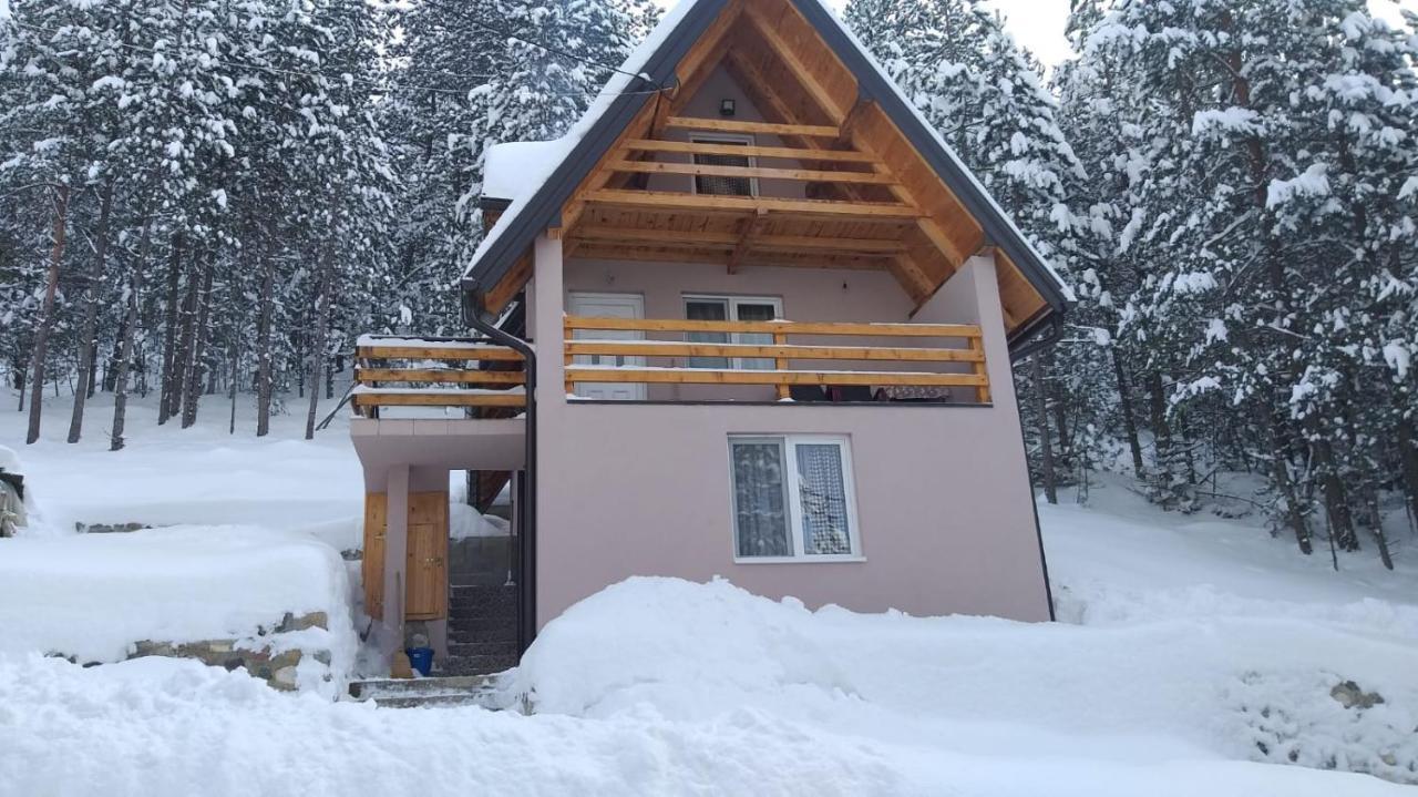Vila Daniela Zaovine Exteriör bild